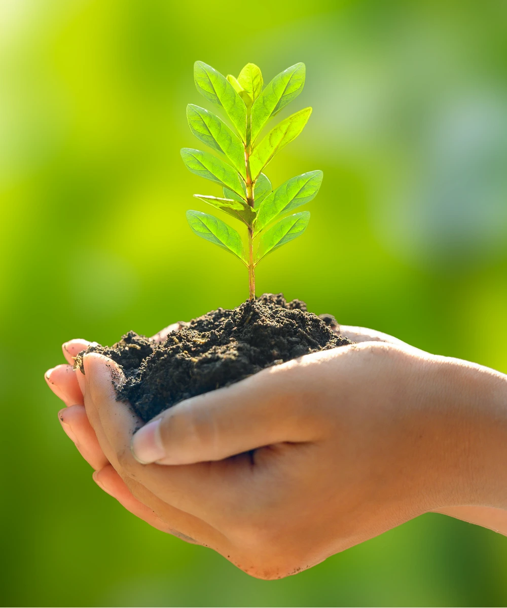 Sustainable & Eco-Friendly Approach